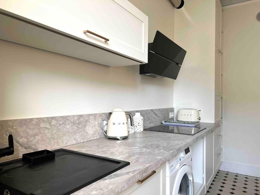 Appartement Entierement Renove Proche Gare Grenoble Exterior foto